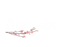 Bricks Babywearing Sticker by Didymos