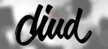 DIUD Studio GIF