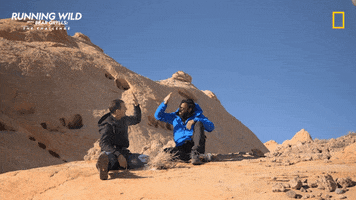 High Five Season 2 GIF by National Geographic Channel