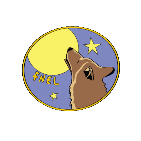 Scouts Sticker by FNEL Scouten a Guiden