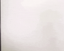 Mina Misamo GIF