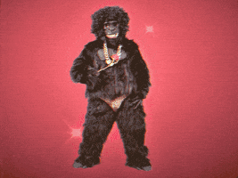 Gorilla Love GIF by GIPHY Studios 2022