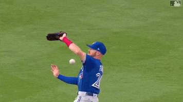 Baseball GIF