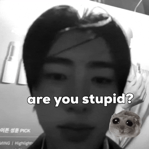 Sunghoon Are You Stupid GIF