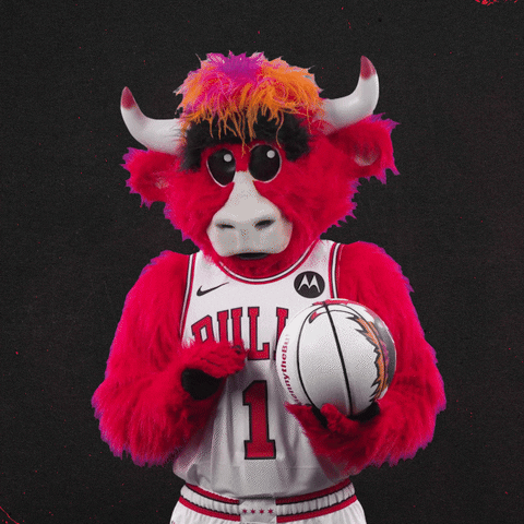 Red Bull Hello GIF by Chicago Bulls