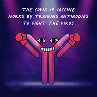 antigen antibody reaction animation