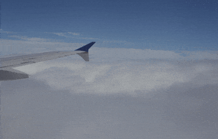 flying going through the GIF by hateplow