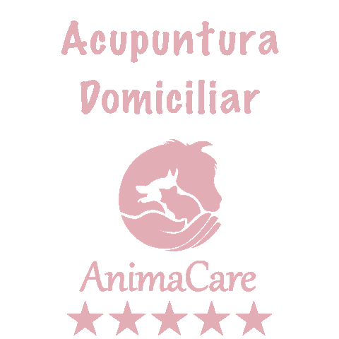 Acupuntura Sticker by AnimaCare