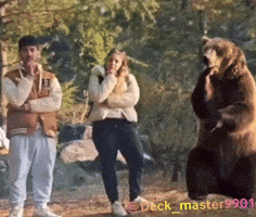 Thinking Bear GIF