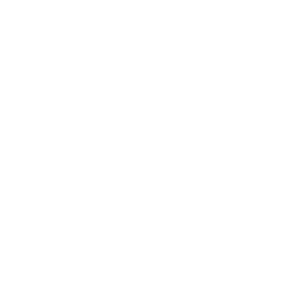 TERRES DU SON Sticker