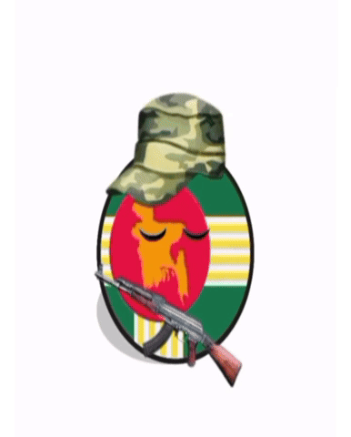 Bangladesh H13 GIF