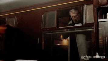 Harry Potter Reunion GIF by HBO Max