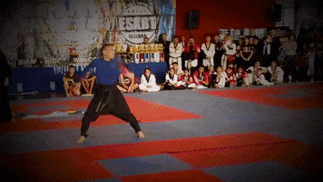 carlosvalentinhernandez mundial campeonato artes marciales umk GIF