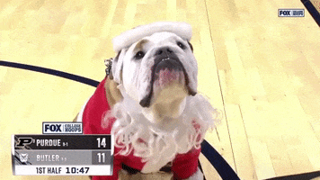 Happy Butler Bulldogs GIF by Butler University