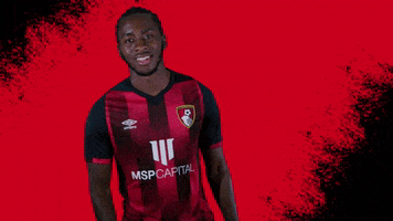 Football Smile GIF by AFC Bournemouth