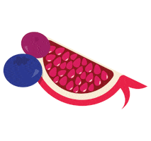 mymuse® organic Sticker