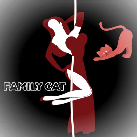 Jess Pole Studio GIF