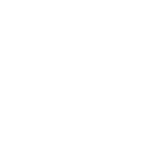 VNP Sticker