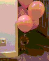 Dog Balloons GIF
