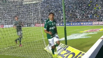 gustavo scarpa GIF by SE Palmeiras