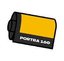 cameralisatie Sticker