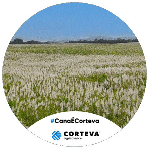 Herbicidas Sticker by Corteva Brasil