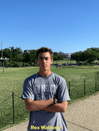 Rex Walrond GIF