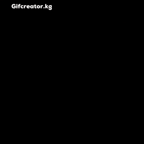 Bilolsport GIF
