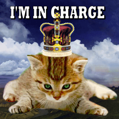Photo gif. Enlarged kitty with emerald green eyes stretches out upon a plateau range underneath a cloudy blue sky. A royal burgundy crown spins over its head and text above reads, "I'm in charge."