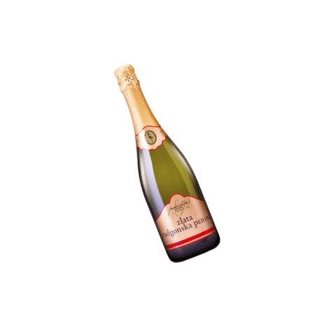 Klub mariborskih studentov Sticker