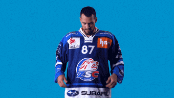 Baltisberger Pedretti GIF by ZSC Lions