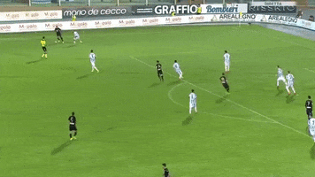 guidop  GIF