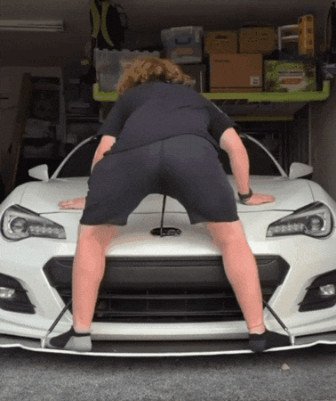 Tann3R GIF