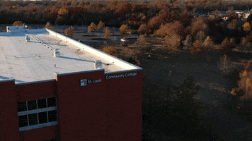 School Fall GIF by St. Louis Community College