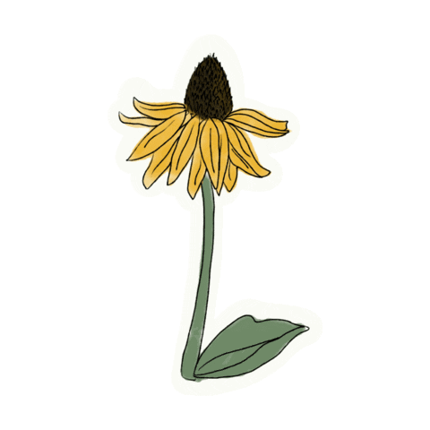 Flower Gold Sticker by Florida State University