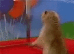 Meme GIF