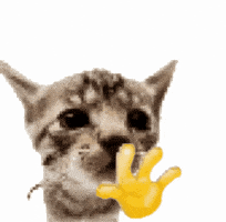 Cat Waving GIF