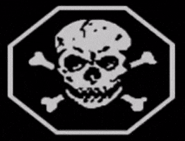 Independence Day GIF