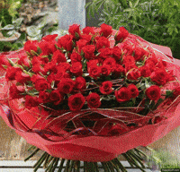 Bloomitup Gif Find Share On Giphy