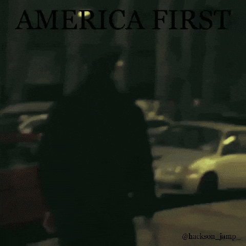 America First Usa GIF