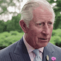 Prince Charles Long Live The King GIF