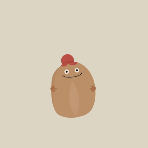 wesola cafe GIF