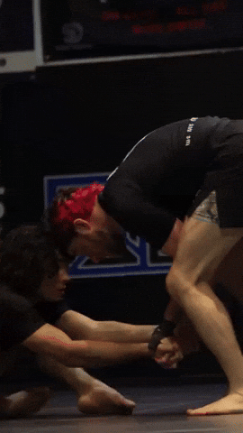 Bjj Jiu Jitsu GIF by New Asgard Martial Arts