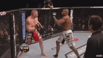 Brock Lesnar GIF