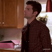 Season 3 Ben GIF by Parks and Recreation
