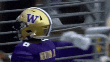 Bow Down College Football GIF by Washington Athletics