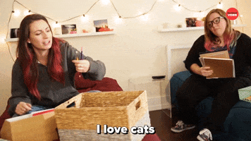 Cats Romance GIF by BuzzFeed