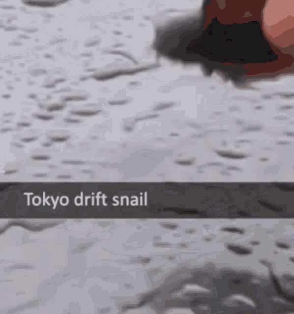 Snail Powerslide GIF