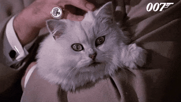You Only Live Twice Cat GIF by James Bond 007