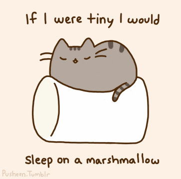 Kawaii gif. A Pusheen cat sleeps on a bouncing marshmallow. Text, “If I were tiny I would sleep on a marshmallow.”